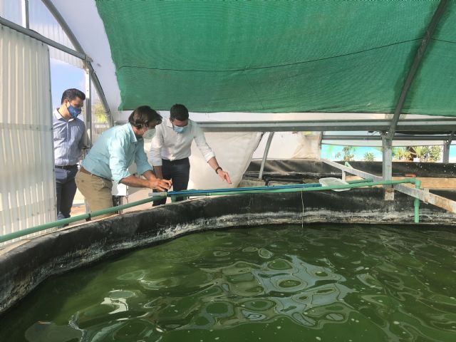 Antonio Luengo pone en valor la producción de microalgas para uso alimentario, farmacéutico o cosmético - 1, Foto 1
