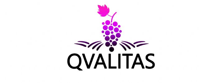 Resultados del proyecto: Calidad y diferenciación como claves de la competitividad vitivinícola - 4, Foto 4
