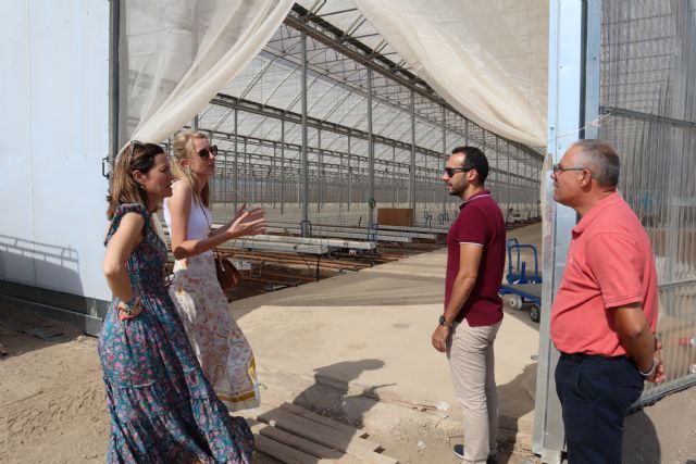 La apertura del nuevo invernadero de Looije supondrá la contratación de más de 60 trabajadores - 1, Foto 1