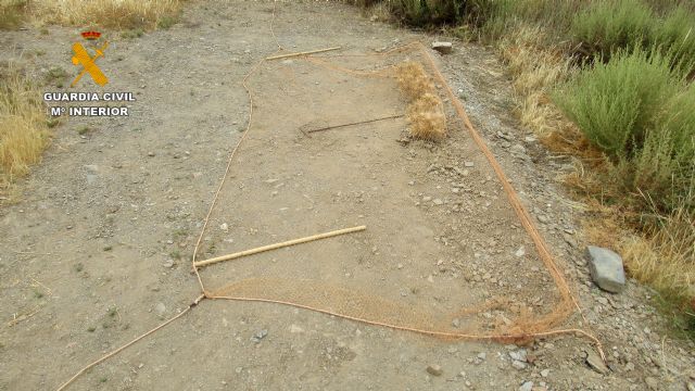 La Guardia Civil sorprende a un furtivo en Lorca mientras capturaba aves fringílidas - 2, Foto 2