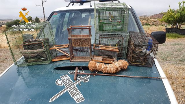 La Guardia Civil sorprende a un furtivo en Lorca mientras capturaba aves fringílidas - 3, Foto 3