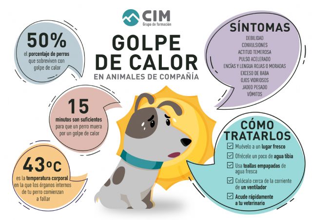 ¿Cómo prevenir y actuar ante un golpe de calor en nuestro perro? - 1, Foto 1