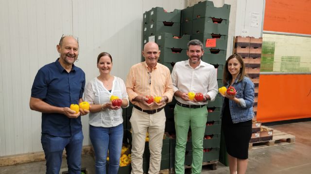 La Región de Murcia destina a la exportación el 85 por ciento de la producción ecológica con Alemania como principal destino - 1, Foto 1