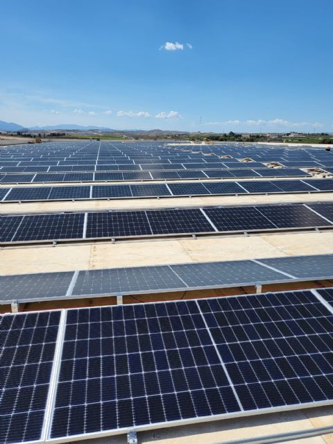 Fripozo potencia la sostenibilidad con la puesta en marcha de un proyecto fotovoltaico, Foto 2
