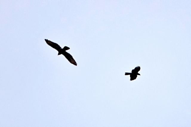 VOX vincula en una moción la protección ambiental de Calnegre con la delincuencia, el tráfico de drogas y las pateras - 4, Foto 4