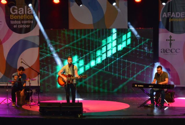 Gran éxito del II Holi Festival y de la gala benéfica de AFADECA en las Fiestas torreñas - 4, Foto 4