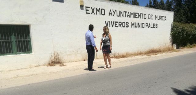 Ciudadanos pregunta al Gobierno local por la situación y mantenimiento de los viveros municipales - 2, Foto 2
