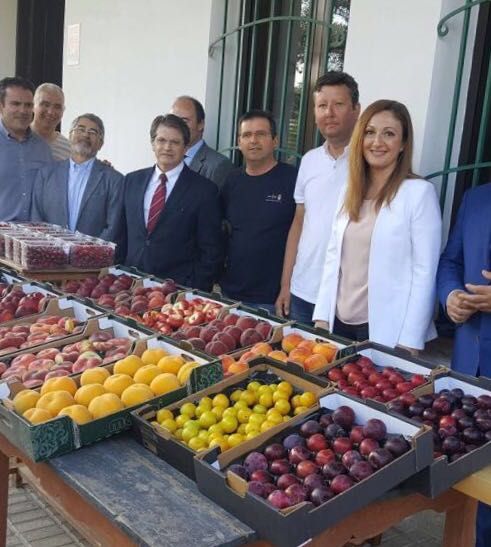Carreño pedirá en el Congreso al Gobierno un Plan Integral de medidas de apoyo al sector de la fruta de hueso y de pepita - 1, Foto 1