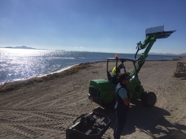 Las brigadas de limpieza retiran cada día 15,4 metros cúbicos de algas de las playas del Mar Menor - 1, Foto 1