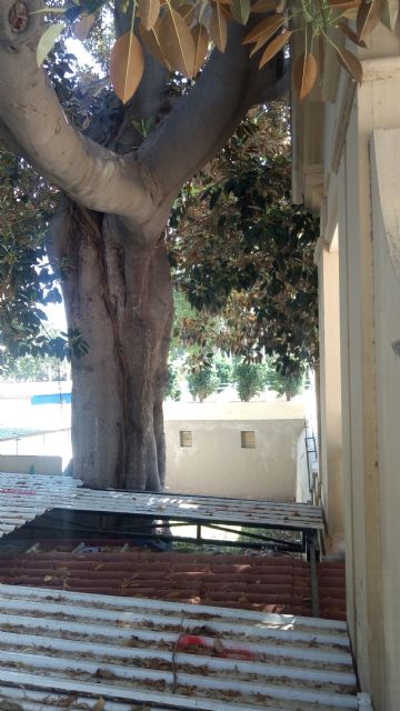 Ahora Murcia denuncia la incoherencia del PP de Ballesta - 3, Foto 3