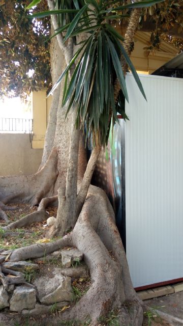 Ahora Murcia denuncia la incoherencia del PP de Ballesta - 4, Foto 4