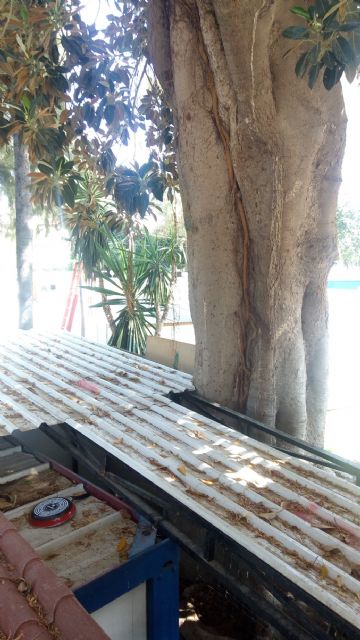 Ahora Murcia denuncia la incoherencia del PP de Ballesta - 5, Foto 5