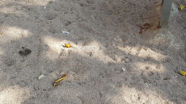 IU demanda que se intensifique el control sobre el cumplimiento de las ordenanzas de limpieza - 1, Foto 1