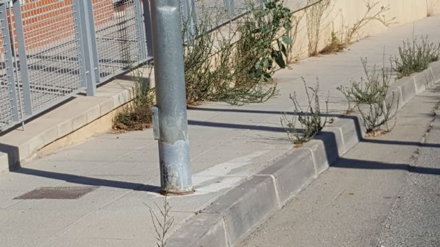 IU demanda que se intensifique el control sobre el cumplimiento de las ordenanzas de limpieza - 2, Foto 2