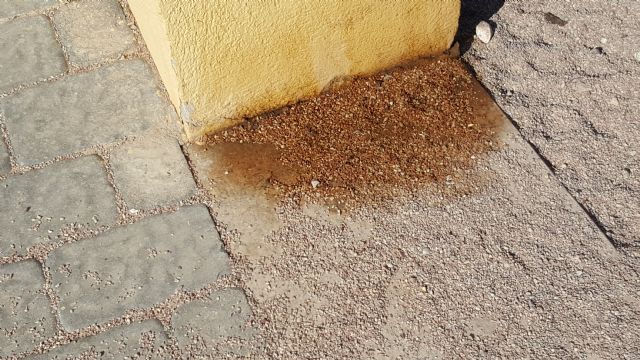 IU demanda que se intensifique el control sobre el cumplimiento de las ordenanzas de limpieza - 3, Foto 3