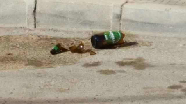 IU demanda que se intensifique el control sobre el cumplimiento de las ordenanzas de limpieza - 4, Foto 4