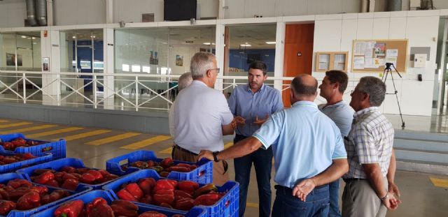 Antonio Luengo visita las instalaciones de la  empresa hortofrutícola Soltir - 2, Foto 2