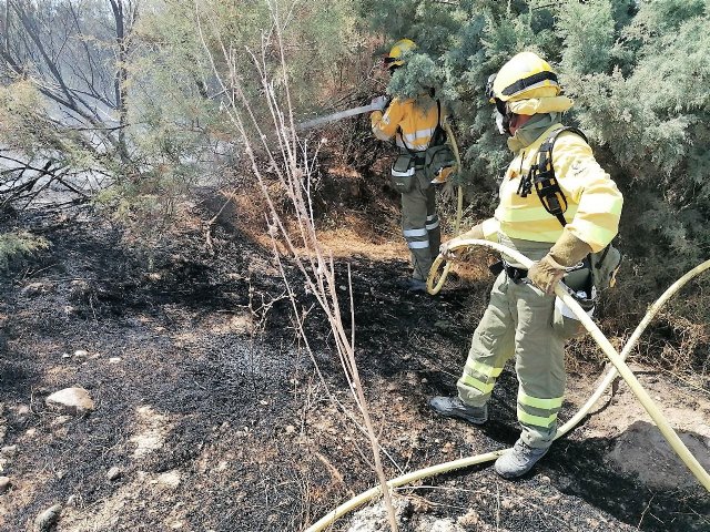 Incendio en la ribera del río Guadalentín, en La Hoya - 1, Foto 1