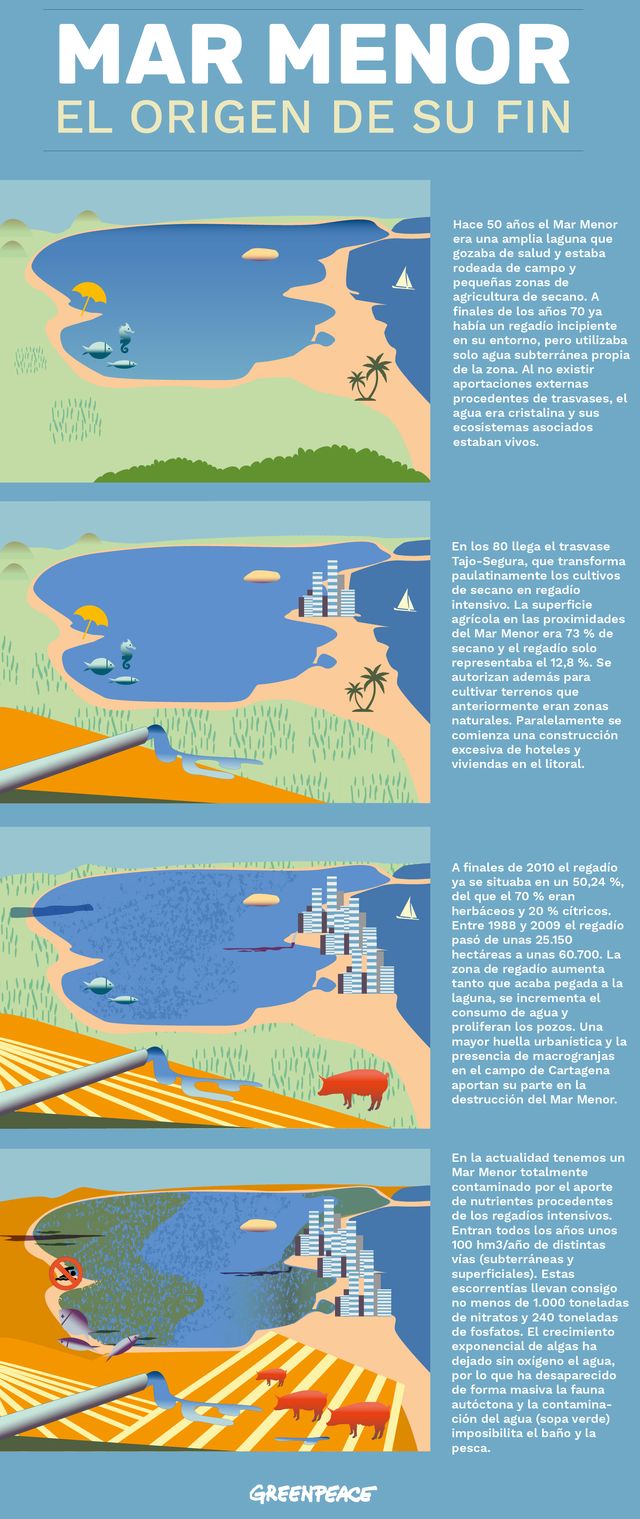 Greenpeace insiste en que se persiga penalmente a quienes han matado al Mar Menor - 2, Foto 2