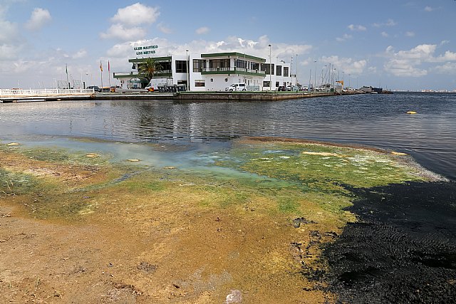 SOS Mar Menor: UATAE recuerda que el grave deterioro medioambiental pone en peligro la actividad económica y el empleo de la zona - 5, Foto 5