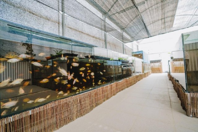 Sollo, un restaurante de estrella michelín con gastroacuaponía que ofrece el primer caviar ecológico del mundo - 2, Foto 2