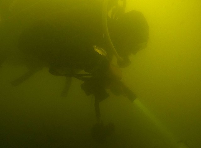 ANSE y WWF constatan que la vegetación del Mar Menor empieza a morir - 2, Foto 2