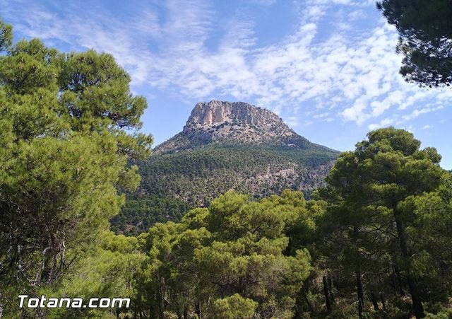 La Región de Murcia se convierte hoy en sede de la música antigua con el inicio del ECOS Festival de Sierra Espuña, Foto 1