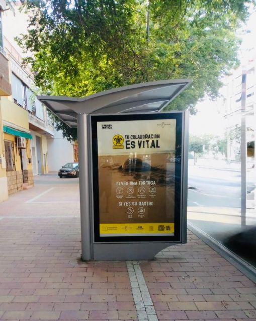 El Ayuntamiento de Lorca colabora un año más en las campañas de sensibilización de la tortuga marina mediante la inserción de cartelería en mupis de la ciudad - 1, Foto 1