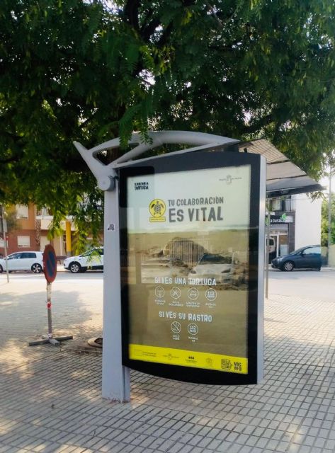 El Ayuntamiento de Lorca colabora un año más en las campañas de sensibilización de la tortuga marina mediante la inserción de cartelería en mupis de la ciudad - 4, Foto 4