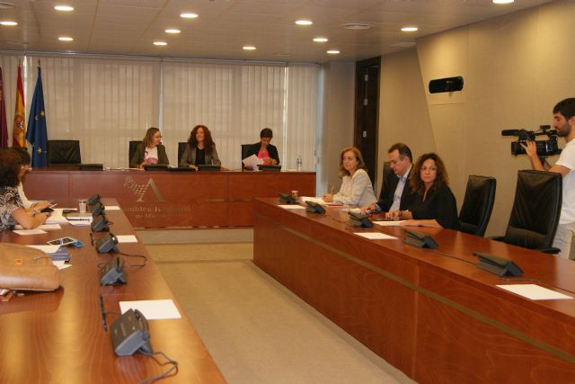 El PSOE lamenta el tono y la falta de sensibilidad del PP ante su moción para mejorar la calidad de vida de las personas amputadas - 1, Foto 1