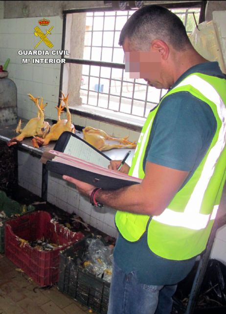 La Guardia Civil desmantela un matadero ilegal de aves - 1, Foto 1