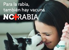 España, en riesgo de sufrir un brote de rabia, zoonosis que afecta a la salud pública - 1, Foto 1