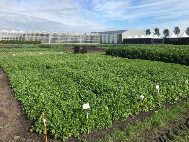 Tozer Ibérica saca músculo en el certamen Seed Meets Technology de Países Bajos - 1, Foto 1