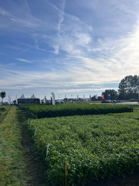 Tozer Ibérica saca músculo en el certamen Seed Meets Technology de Países Bajos - 2, Foto 2