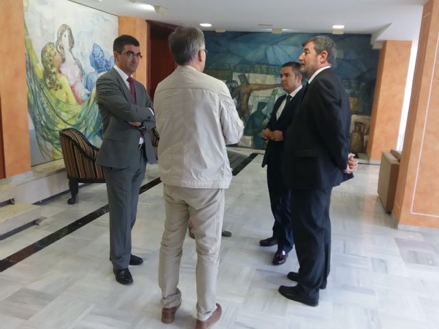 Ciudadanos participa activamente en la elaboración de la Ley sobre Patrimonio Arbóreo Monumental - 1, Foto 1