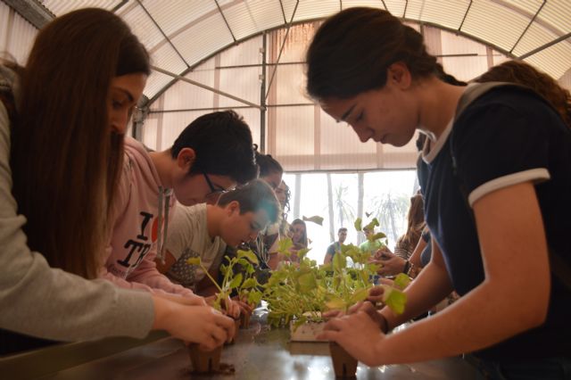 La empresa AgroMediterránea busca ingenieros agrónomos de la UPCT - 2, Foto 2