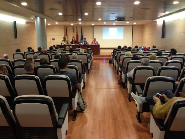 El Ayuntamiento de Lorca aumentará el porcentaje de cofinanciación de la Estrategia de Desarrollo Urbano Sostenible para la zona histórica de la ciudad - 1, Foto 1
