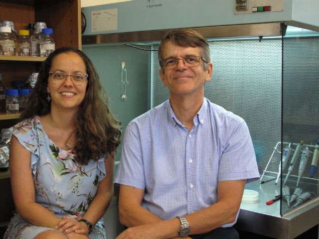 Un estudio de la UMU avanza en el conocimiento de la interacción entre sistemas CRISPR-Cas de distinto tipo en una misma bacteria - 1, Foto 1