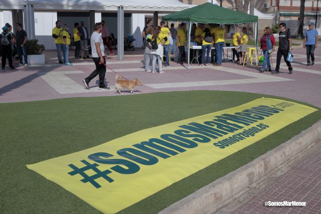 Somos Región convoca una concentración el próximo domingo en el Congreso para pedir más implicación con el Mar Menor - 1, Foto 1