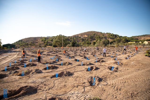 Repsol, la Armada y la Asociación Creect crean un banco de semillas en la Algameca - 1, Foto 1