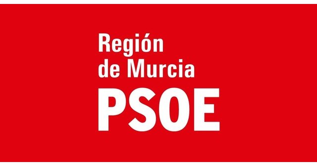 Toñi Abenza: El plan del consejero Díez de Revenga es destruir el transporte público en la Región de Murcia - 1, Foto 1