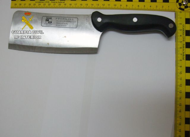 La Guardia Civil detiene a los tres miembros de un grupo criminal presuntamente dedicado a robos con violencia - 1, Foto 1