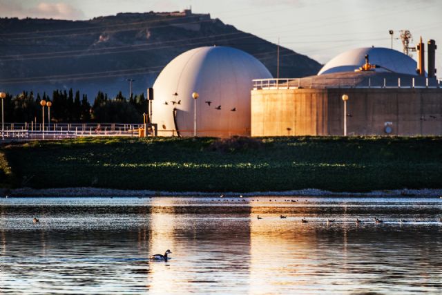 Hidrogea acude mañana a la entrega de galardones de la Fundación Biodiversidad, en una gala presidida por El Rey - 2, Foto 2