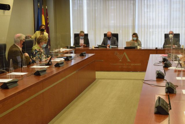 El PP impulsará una campaña para el reconocimiento de las personas con doble discapacidad sensorial - 2, Foto 2