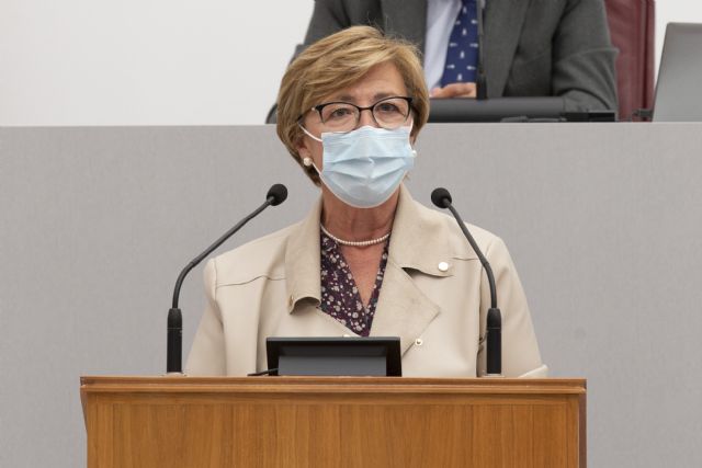 La Asamblea aprueba crear una Comisión Especial de Discapacidad, a propuesta del PP - 1, Foto 1