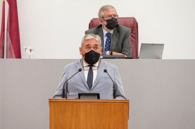 El grupo parlamentario liberal reclama un Plan Nacional de Salud Mental con una adecuada financiación - 1, Foto 1