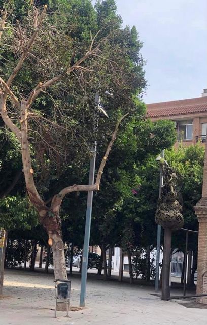 VOX Alcantarilla solicita que se vuelva a exponer el Belén de Navidad - 1, Foto 1