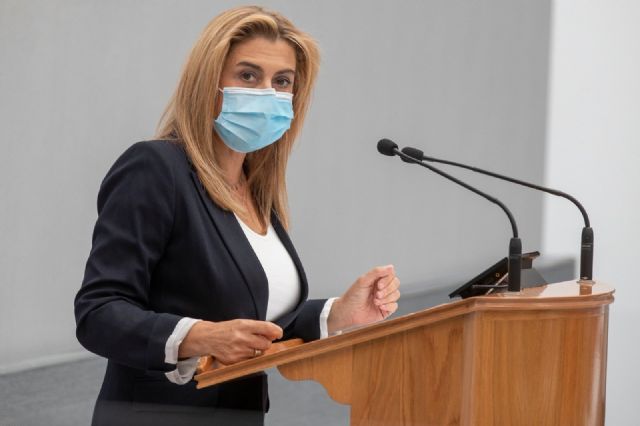 Carmina Fernández: Es inadmisible que el Gobierno regional siga poniendo en riesgo la salud de la ciudadanía de Cartagena y permita la contaminación medio ambiental - 1, Foto 1