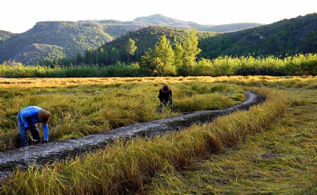 II Jornadas Gastronómicas del Arroz Calasparra - 4, Foto 4