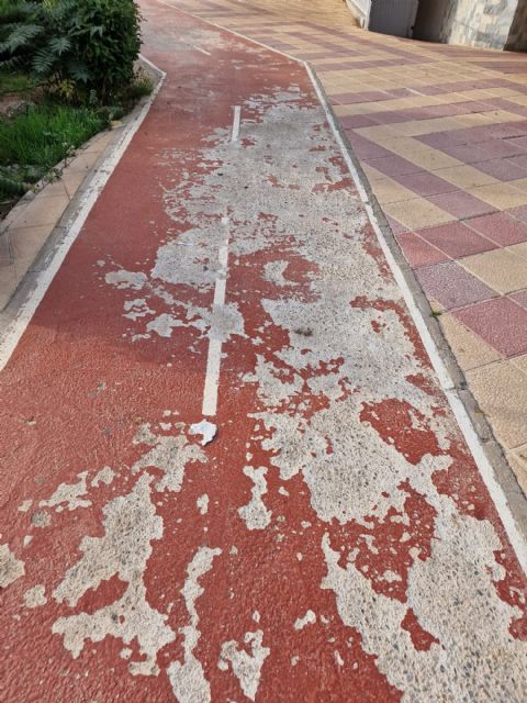 Pedro Contreras: Es necesario una red de carriles bici de calidad que vertebren la ciudad y la comuniquen eficientemente entre barrios y diputaciones no como la que está haciendo el gobierno de Arroyo  - 1, Foto 1